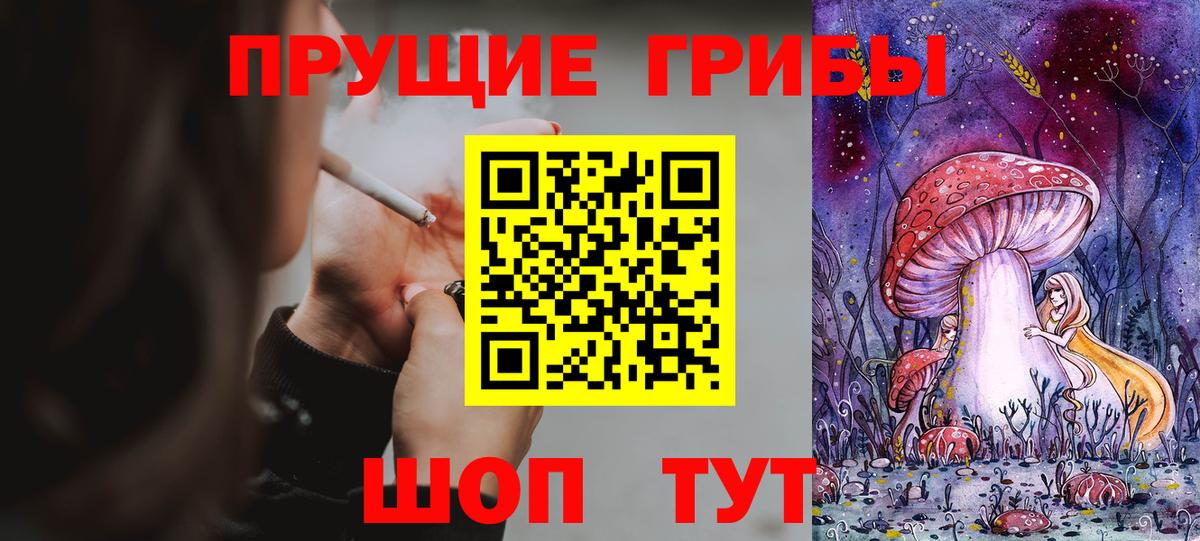 Псилоцибиновые грибы Psilocybe  Вход с VPN  Новочебоксарск 